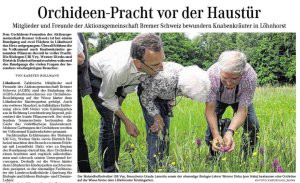 Orchideen-Norddeutsche_28.05.14_v