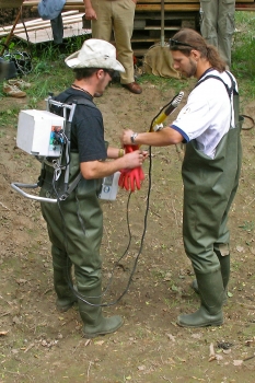 2008-Elektrobefischung-Aue-3