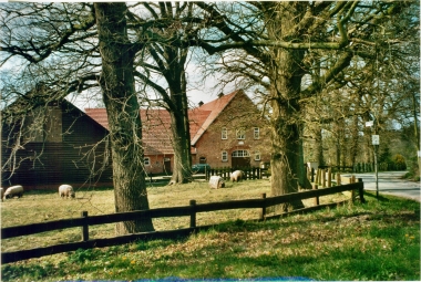 Bruns (10)