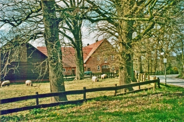 Bruns (3)