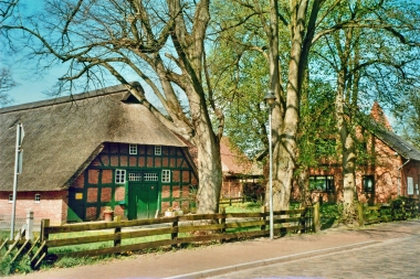 Bruns (6)