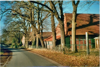 Bruns (9)
