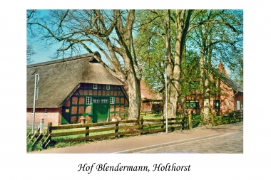 Hof Blendermann in Holthorst