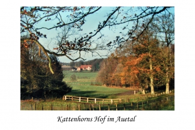 Hof Kattenhorn im Auetal