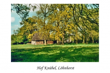 Hof Knübel in Löhnhorst