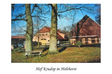 Hof Krudop in Holthorst 2