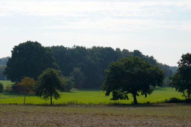 2015 - 10 Jahre AG7