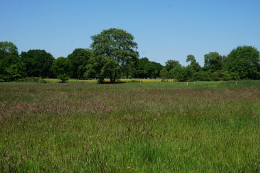 2015 Juni Tal Schwaneweder Beeke