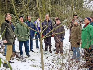 Beim Baumschnittlehrgang im Winter lernen wir, Obstbäume richtig zu schneiden