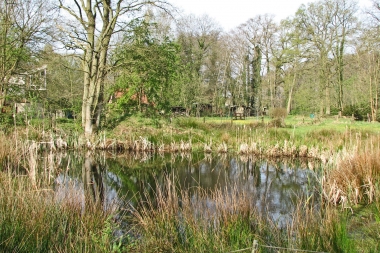 2008 Biotop Löhnhorst Teich