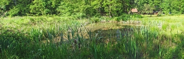 2010 Biotop Löhnhorst Teich Panorama