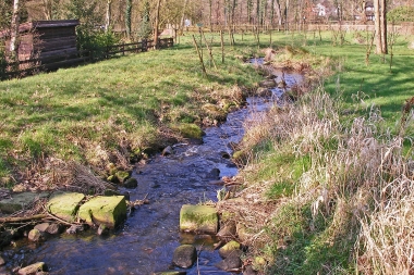 2009-Umgehungsgerinne-April-4